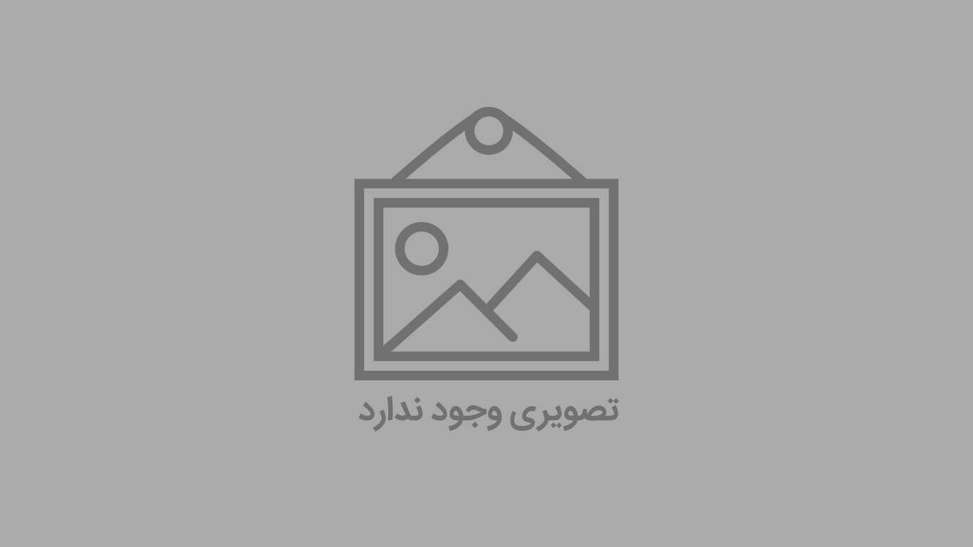 سایر